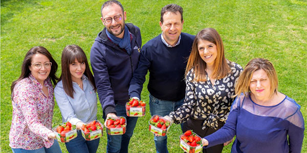 «Fragola Matera» ha già conquistato la Gdo